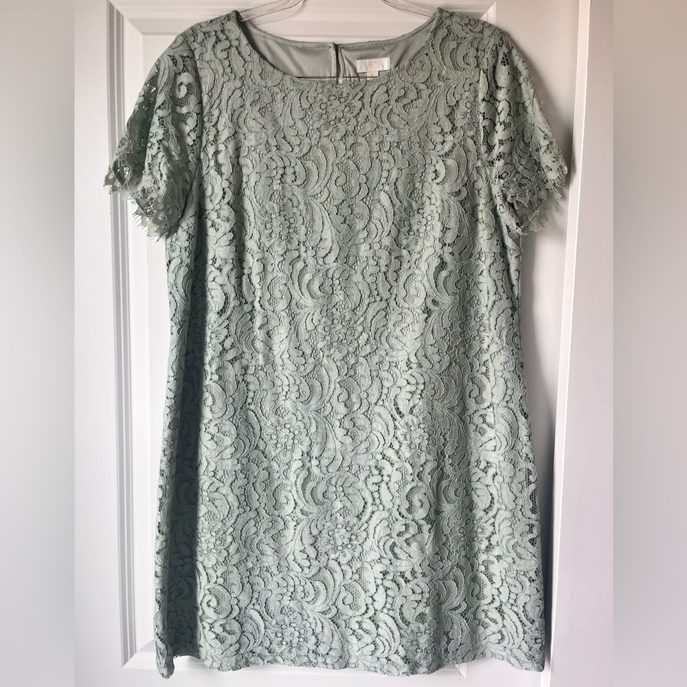 Elegant Lace Dress in Light Green